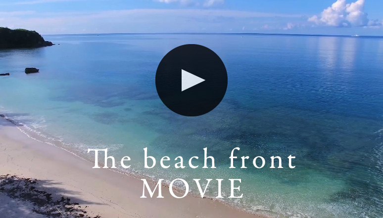 The beach front MOVIE